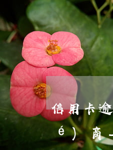 信用卡逾期了個人可不可以跟銀行協(xié)商-信用卡逾期了個人可不可以跟銀行協(xié)商還款