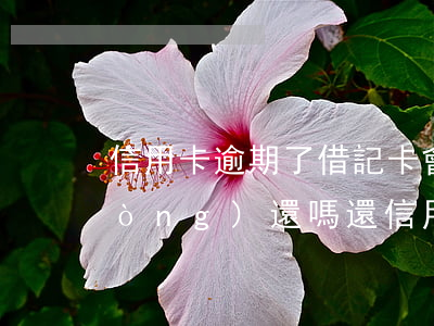 信用卡逾期了借記卡會(huì)自動(dòng)還嗎 還信用卡逾期會(huì)有什么后果