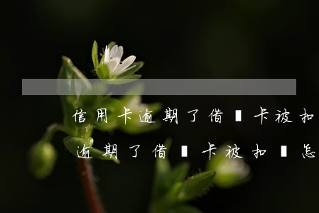 信用卡逾期了借記卡被扣錢怎么辦-信用卡逾期了借記卡被扣錢怎么辦理