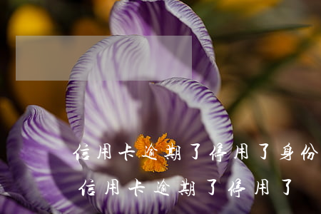 信用卡逾期了停用了身份證可以買高鐵票嗎（信用卡逾期了停用了）