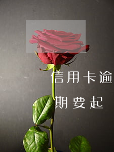 信用卡逾期了催告函會怎樣(短信說信用卡逾期要起訴了是真的嗎)