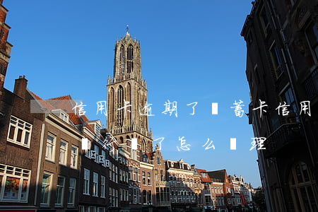 信用卡逾期了儲蓄卡(信用卡逾期了儲蓄卡被銀行鎖了怎么處理)
