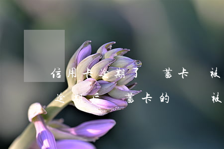 信用卡逾期了儲蓄卡會被凍結(jié)嗎 逾期后儲蓄卡的錢會被凍結(jié)嗎