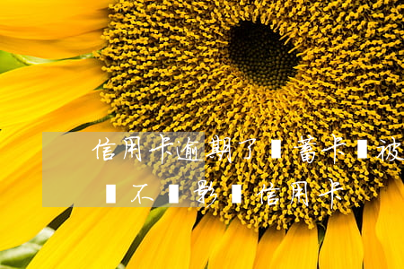信用卡逾期了儲蓄卡會被限制嗎-貸款逾期會不會影響信用卡