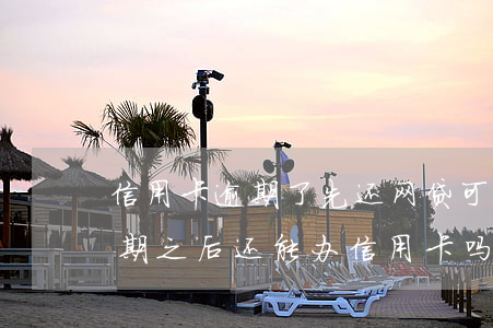 信用卡逾期了先还网贷可以吗贴吧-网贷逾期之后还能办信用卡吗