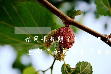 信用卡逾期了全部都還了還能用嘛-信用卡逾期了全部都還了還能用嘛