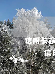 信用卡逾期了全額還款會(huì)被怎么樣-信用卡逾期了全額還款會(huì)被怎么樣處理