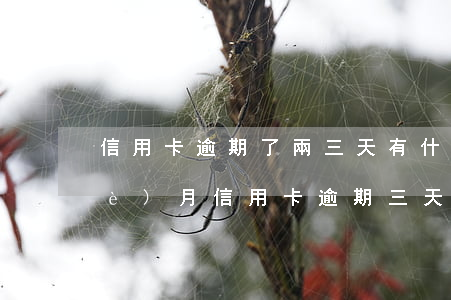 信用卡逾期了兩三天有什么影響嗎 每個(gè)月信用卡逾期三天