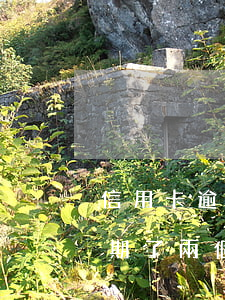 信用卡逾期了兩個(gè)月咋辦 信用卡逾期了兩個(gè)月咋辦啊
