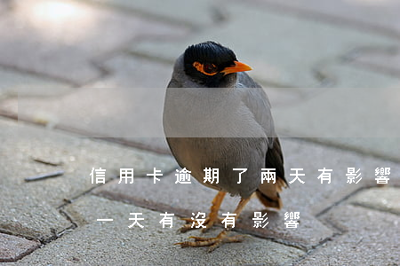 信用卡逾期了兩天有影響嗎(銀行信用卡逾期一天有沒有影響?)
