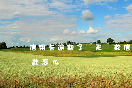 信用卡逾期了兩天還款(信用卡逾期了兩天還款怎么辦)