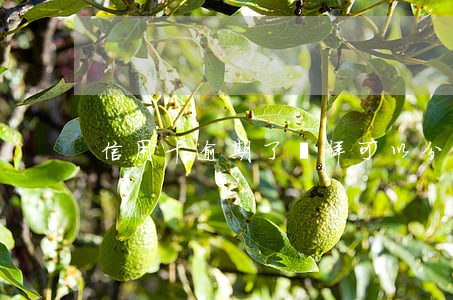 信用卡逾期了兩年可以分期嗎(信用卡分期)