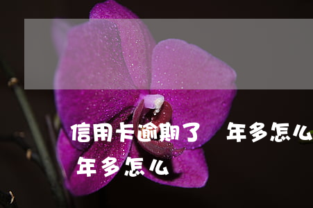 信用卡逾期了兩年多怎么辦(信用卡逾期了兩年多怎么辦)