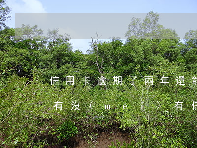 信用卡逾期了兩年還能申請(qǐng)嗎(有沒(méi)有信用卡逾期兩年的)