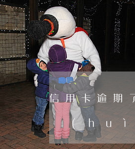 信用卡逾期了兩次可以嗎(信用卡逾期一兩次會(huì)怎么樣)