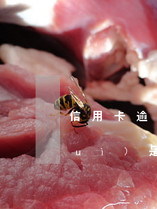 信用卡逾期了兩萬(wàn)違約金會(huì)是多少-信用卡逾期了兩萬(wàn)違約金會(huì)是多少錢