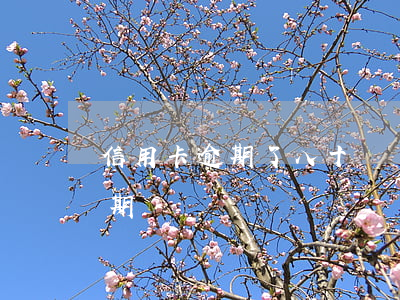 信用卡逾期了八十塊錢(信用卡200多元逾期)