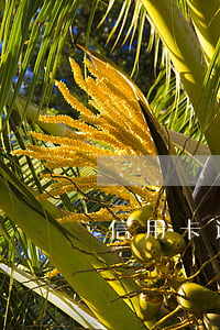 信用卡逾期了八次(8張信用卡全部逾期)