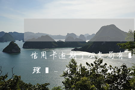 信用卡逾期了公安局有權(quán)力處理嗎-信用卡逾期了公安局有權(quán)力處理嗎知乎