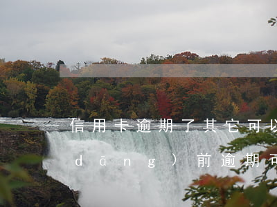 信用卡逾期了其它可以貨款嗎(有信用卡當(dāng)前逾期可以貸款嗎)