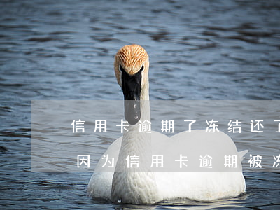 信用卡逾期了冻结还了还能使用吗-储蓄卡因为信用卡逾期被冻结,可以在拖几个月还款吗