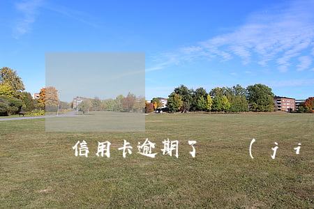 信用卡逾期了凍結(jié)了就沒用了嗎