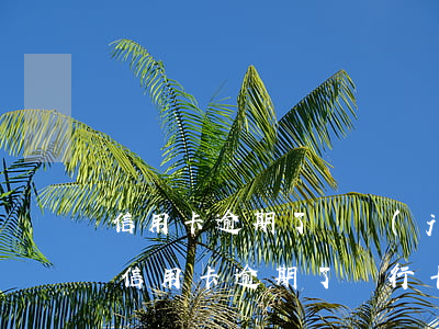 信用卡逾期了凍結(jié)了還能解凍嗎(信用卡逾期了銀行卡會(huì)凍結(jié)嗎)
