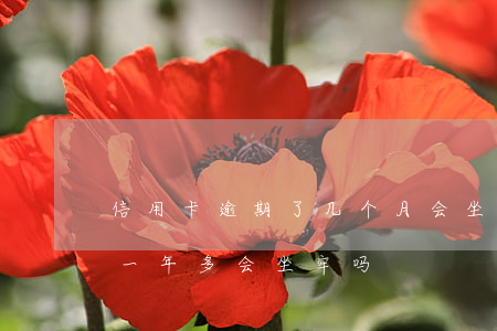信用卡逾期了几个月会坐牢吗(欠信用卡逾期一年多会坐牢吗)
