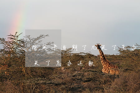 信用卡逾期了几天了怎办-信用卡逾期了几天了怎办还款