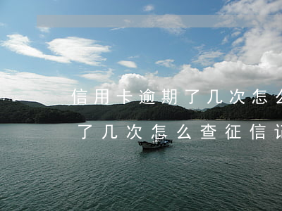 信用卡逾期了几次怎么查征信-信用卡逾期了几次怎么查征信记录