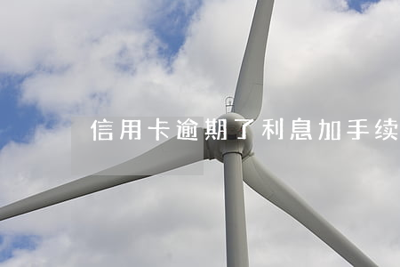 信用卡逾期了利息加手续费合理