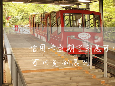 信用卡逾期了利息可以减免吗(逾期还信用卡可以免利息吗)