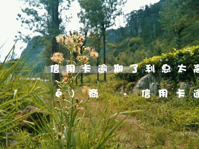 信用卡逾期了利息太高可以和銀行協(xié)商嗎-信用卡 逾期利率