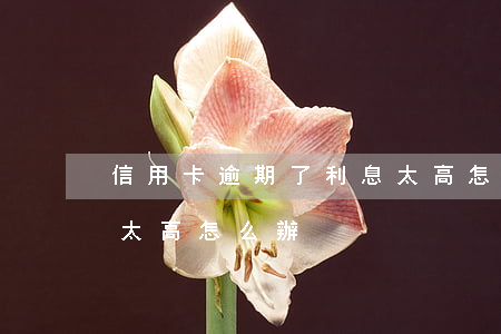 信用卡逾期了利息太高怎么辦(欠信用卡利息太高怎么辦)