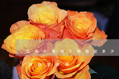 信用卡逾期了利息是多少錢-欠信用卡逾期利息怎么算