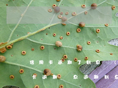 信用卡逾期了利息會(huì)無限制(信用卡 逾期罰息 逾期利息)