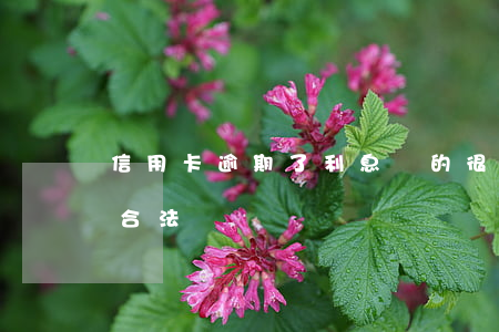 信用卡逾期了利息漲的很高(信用卡逾期利息合法嗎)