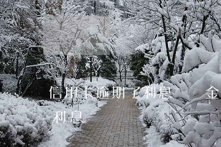信用卡逾期了利息違約金太高(信用卡 違約金 利息)