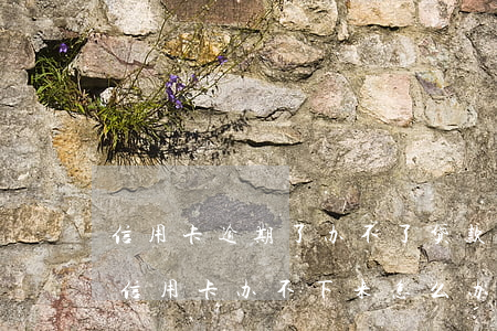 信用卡逾期了办不了贷款怎么办(有过逾期办信用卡办不下来怎么办)