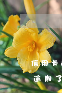 信用卡逾期了办停息挂账要证明吗-信用卡逾期了办停息挂账要证明吗怎么办