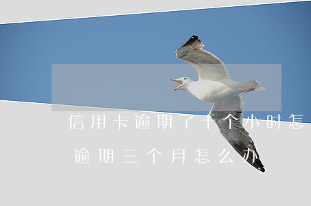 信用卡逾期了十个小时怎么办(信用卡10万逾期三个月怎么办)