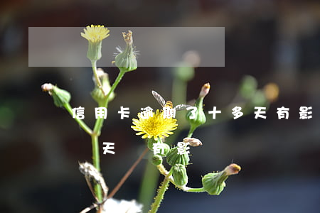 信用卡逾期了十多天有影響么(銀行卡逾期十幾天會有影響嗎)