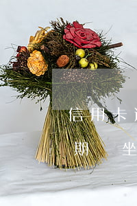信用卡逾期了十天會抓人嘛(信用卡10萬逾期會坐牢嗎)