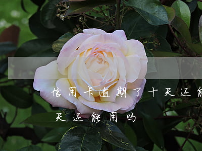 信用卡逾期了十天还能用吗(信用卡逾期了十天还能用吗)