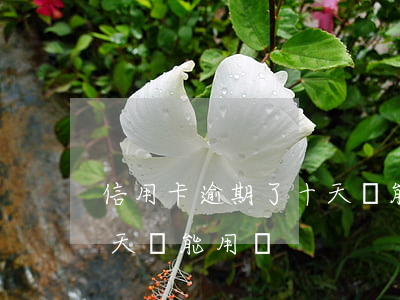 信用卡逾期了十天還能用嗎(信用卡逾期了十天還能用嗎)