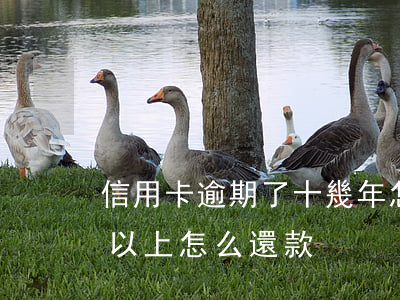 信用卡逾期了十幾年怎么辦(信用卡逾期十年以上怎么還款)