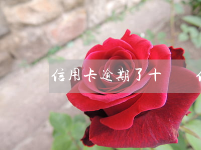 信用卡逾期了十幾萬（信用卡逾期了十幾萬）