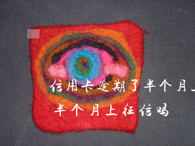 信用卡逾期了半个月上征信吗(信用卡逾期了半个月上征信吗?)