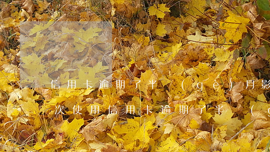 信用卡逾期了半個(gè)月影響大嗎(第一次使用信用卡逾期了半個(gè)月有影響嗎?)