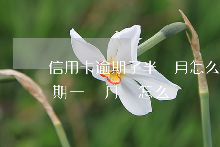 信用卡逾期了半個月怎么辦(忘記還信用卡逾期一個月會怎么辦)